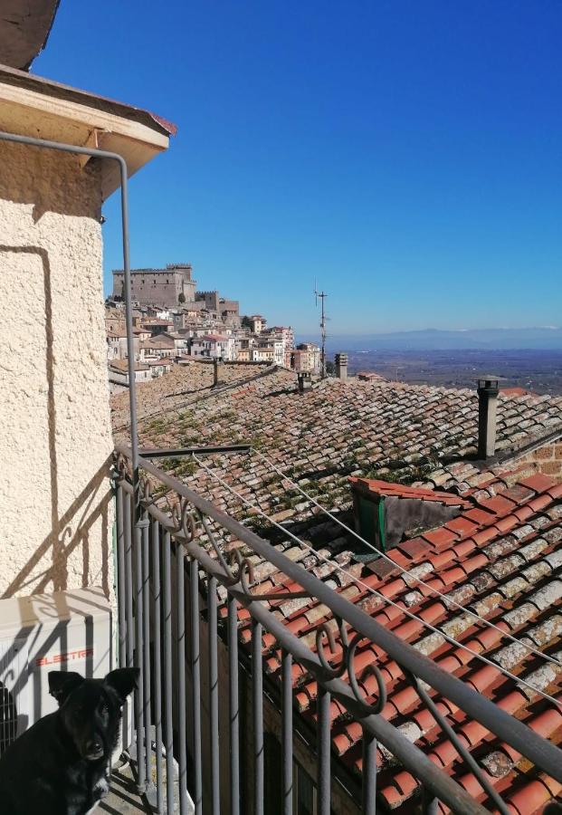 Il Piccolo Rifugio Apartment Soriano nel Cimino Ngoại thất bức ảnh